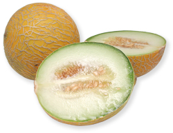 Galia-melon